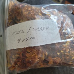 Scarf Ear